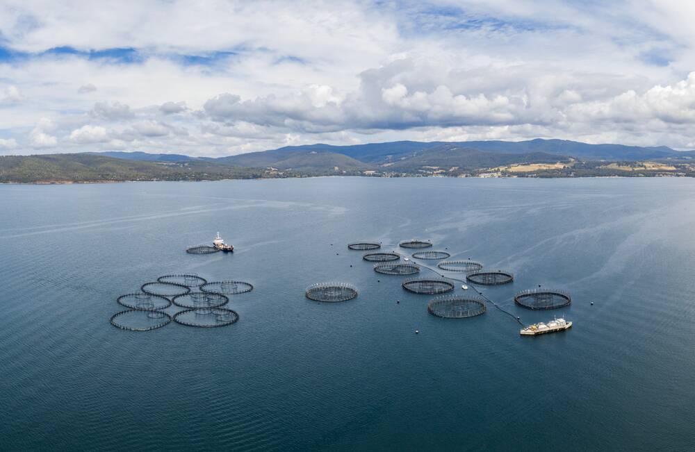 Salmon fish farm off the coast of Tinderbox in the state's South.