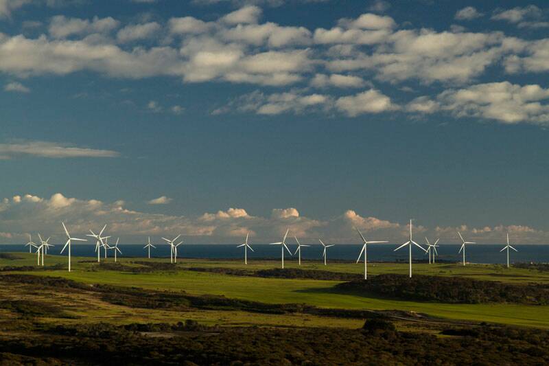 Musselroe Wind Farm, the largest of three Woolnorth Renewable Wind Farms in Tasmania. Picture by Woolnorth Renewables