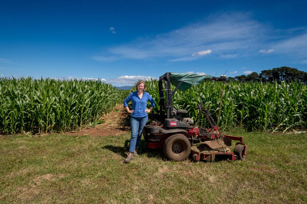 Anna Clark, alongside her husband Rowan, has been working hard to get the crop maze at Rupertswood maze ready. Picture by Phillip Biggs