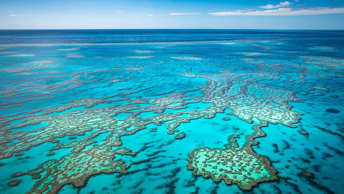BIZZARE: A fun run for the Great Barrier Reef has been gifted big cash in the Federal Budget. Picture: Shutterstock