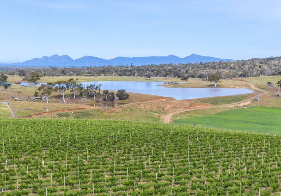 Aerial views of Belbrook Vineyard.Picture: Supplied.