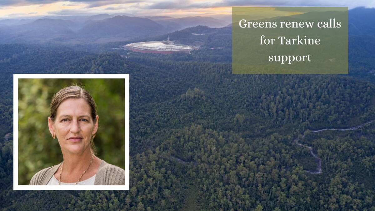 SUPPORT: Tasmanian Greens Leader Cassy O'Connor has reaffirmed the parties support for the Tarkine Forest and desire to see it protected. Picture: Graphic