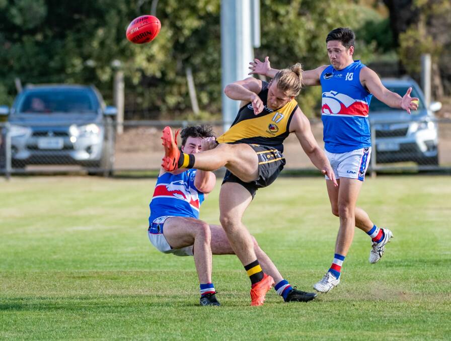TIGERS ROAR: Liam Davies and Longford cruised to an impressive win over South Launceston. Picture: Paul Scambler