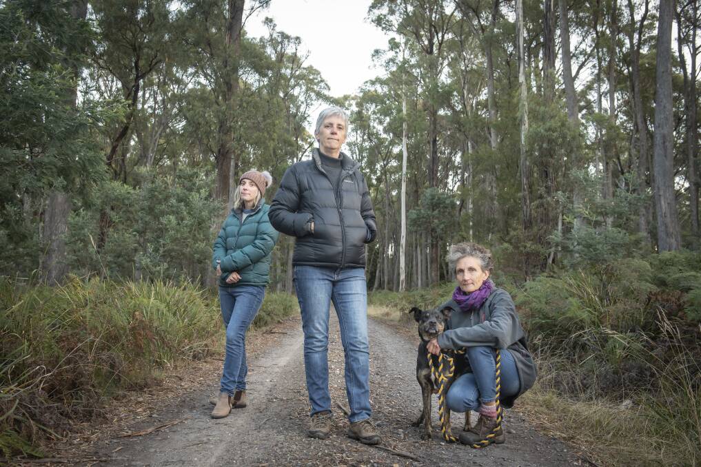 CONSERVATION: Community members Eerin Hardman, Alison Marshall and Ann Hamilton are against plans to build a subdivision on Ecclestone Road. Picture: Craig George 