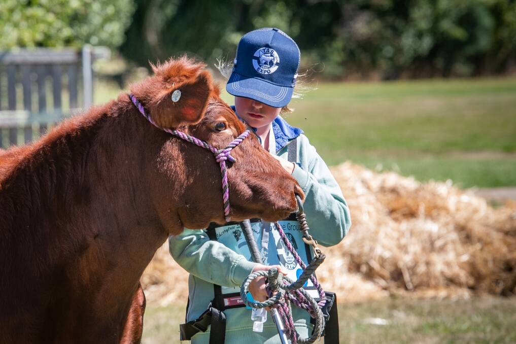 The Tasmanian Junior Beef expo was a popular hit with the kids and teenagers alike from across the state. Pictures: Paul Scambler 