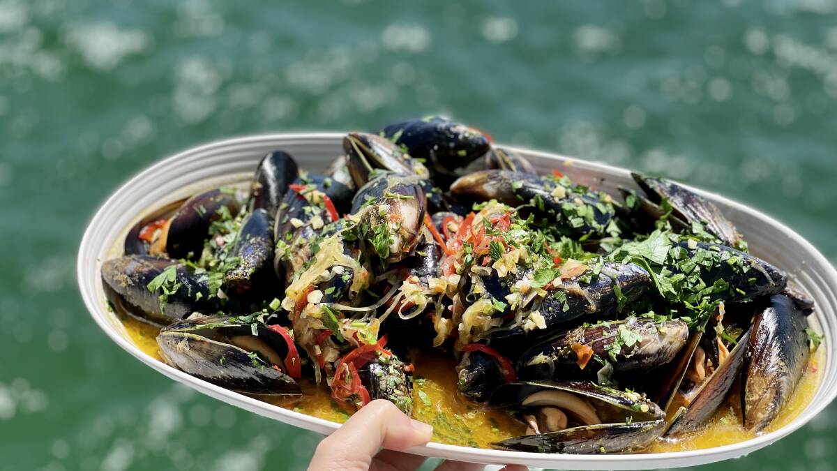 'Do not eat': Health warning issued for shellfish caught in parts of Tasmania