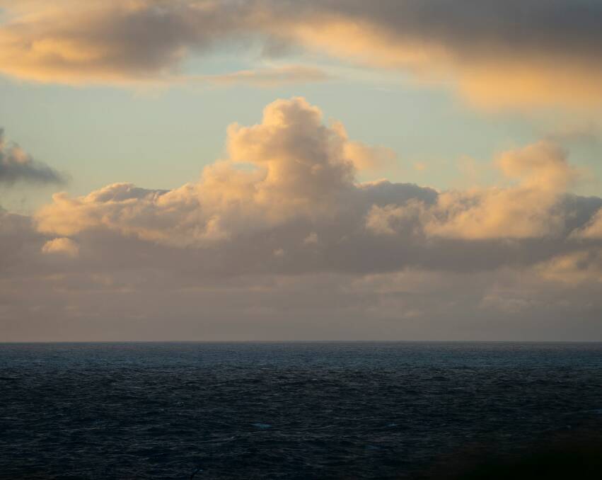 Looking West, On Albatross Island 2014 by Matt Newton. Picture: Supplied. 