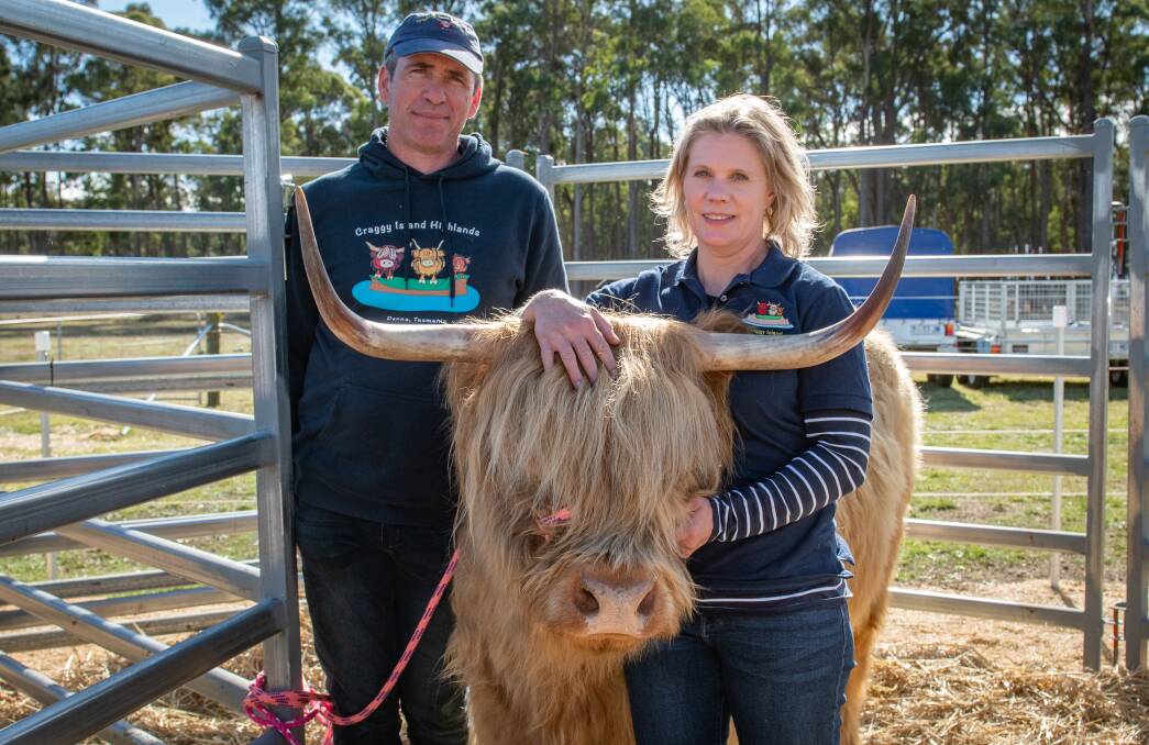 Craig and Alison Scott, with Peggy the highland cow. 