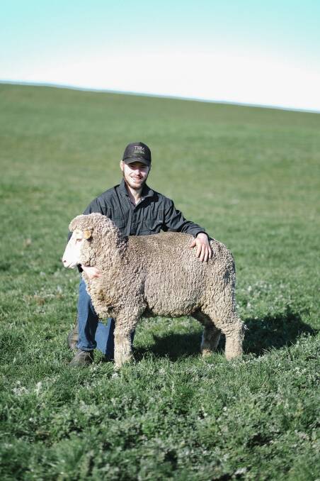 MERINO WOOL: Sym Hood with one of his sheep. Picture: Craig George
