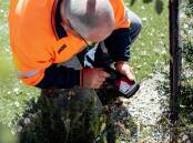 ON THE JOB: TasWater is reminding customers to keep their water meters clear of hazards so they are easily accessible for meter readers. Picture: Supplied.