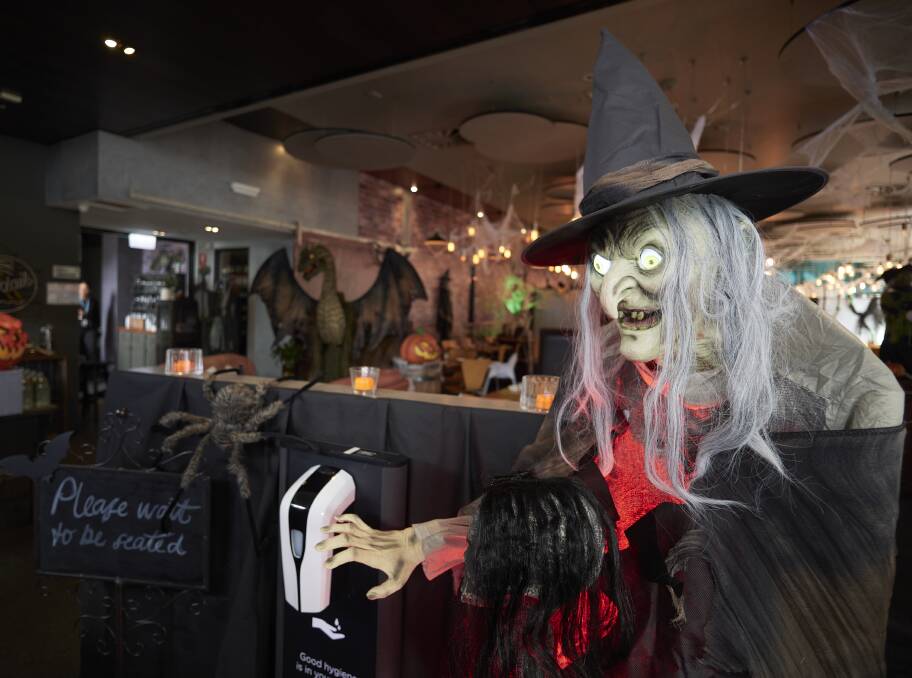 A witch will greet guests of Cataract On Paterson's Hallween extravaganza. Picture by Rod Thompson 
