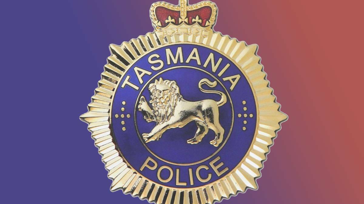 Tasmania Police seek assistance following disturbance in Kings Meadows