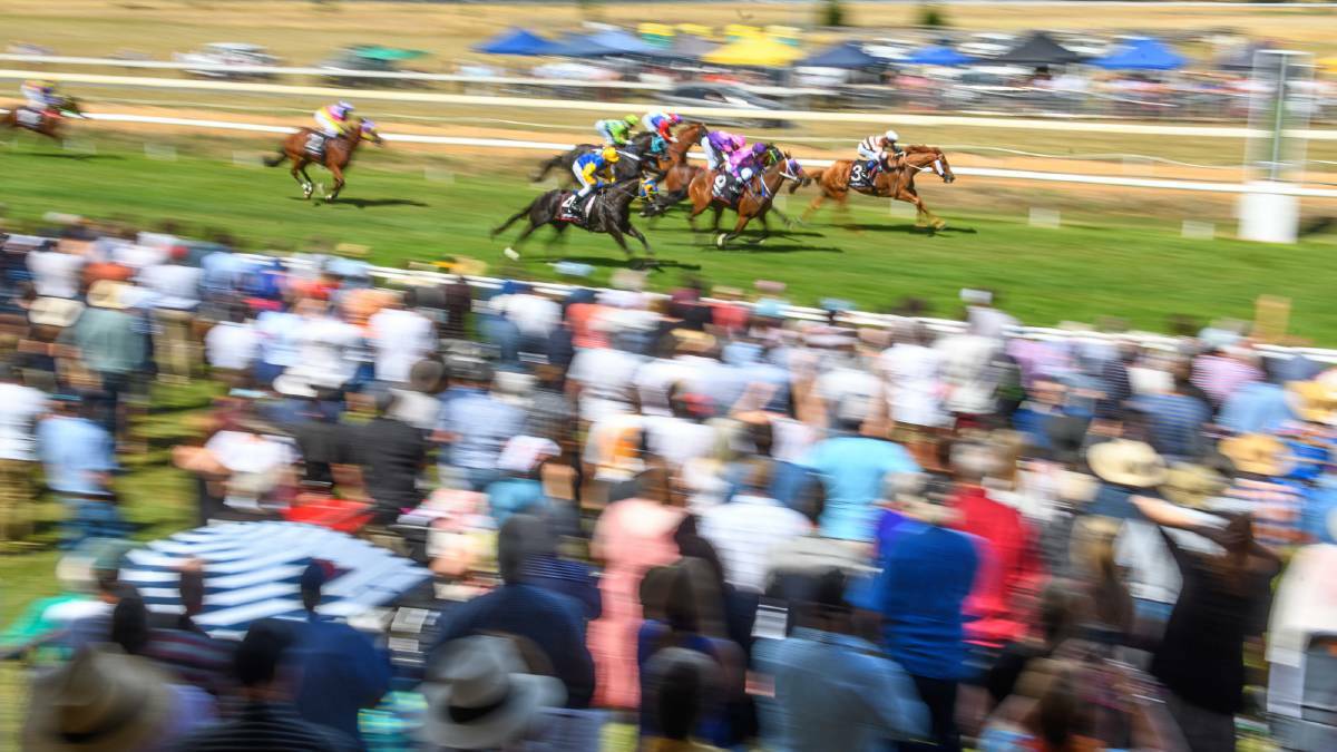 PROPOSED: Tasracing and the Northern Midlands Council have released a draft concept masterplan for the Longford Racecourse precinct. Picture: File