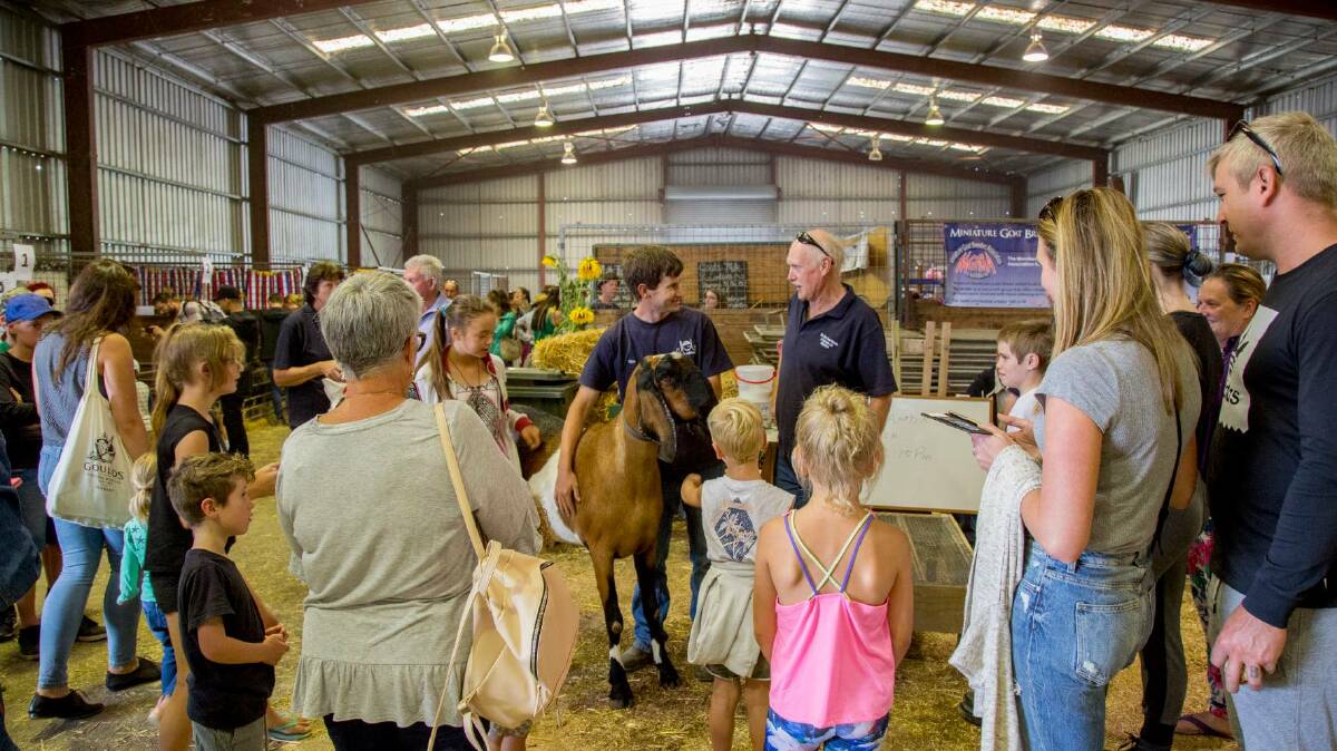 CROWD FAVOURITE: Punters, breeders and organisers at a previous edition of the annual Goatfest event, set to be held at the Longford showgrounds this year for only the second time after leaving the equestrian pavilion at Inveresk in 2019. Picture: Facebook