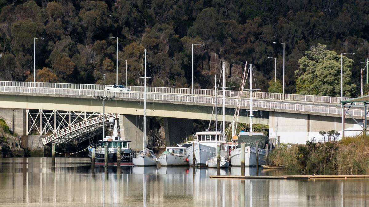 Labor's $8 million Tamar Estuary plan receives criticism