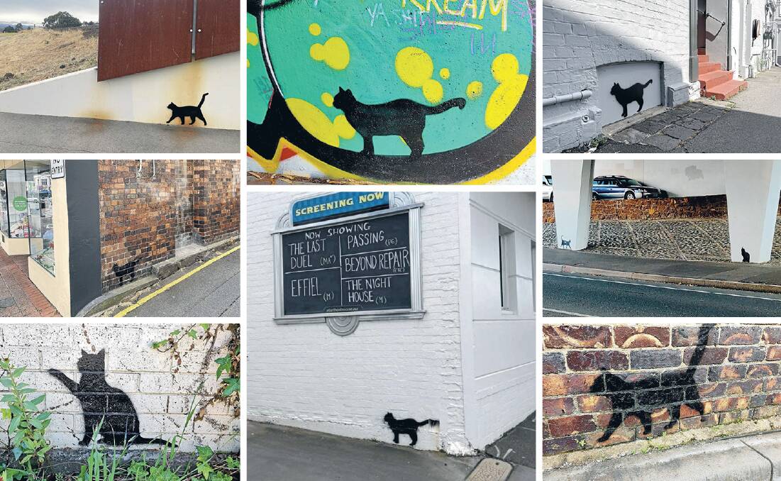 ONCE MORE AGAIN WITH FELINE: A mysterious artist had begun stencilling black cats all over Launceston. Picture: Supplied
