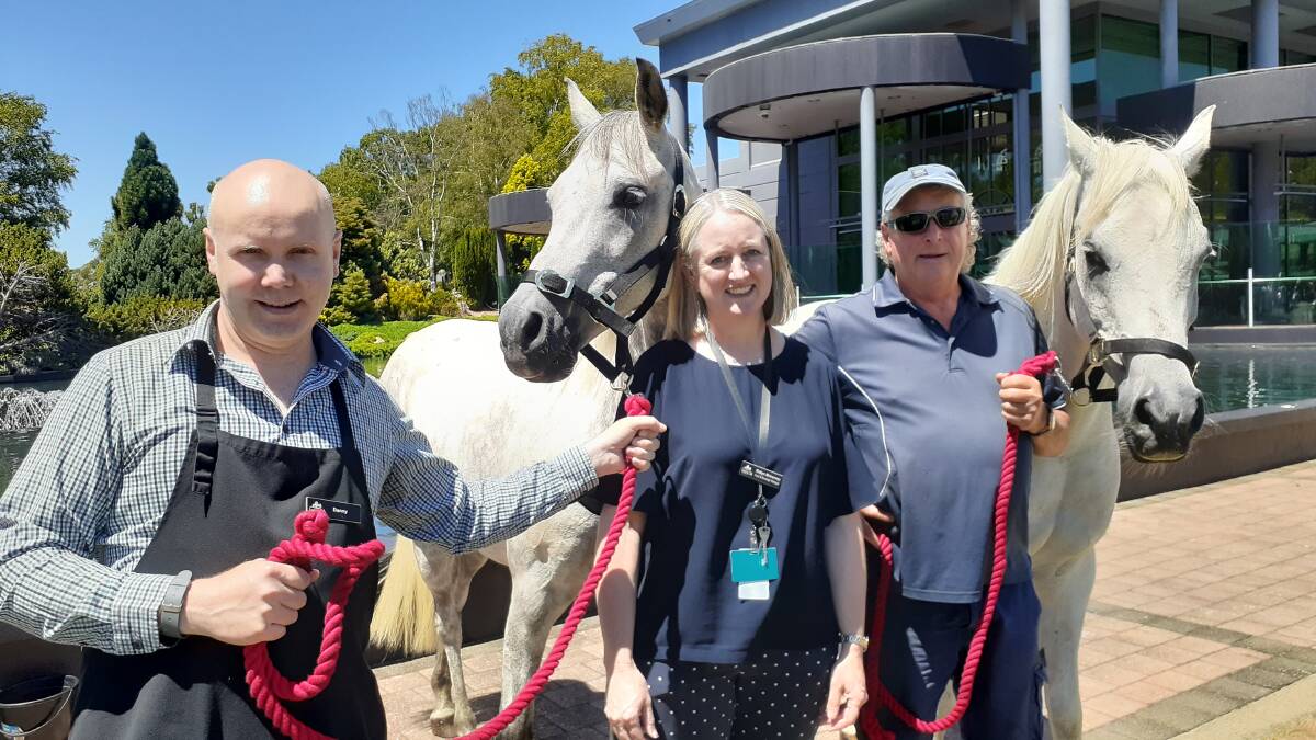 RECYCLING REVOLUTION: Barista Danny Knott, food and beverage manager Robyn McInerney and gardener Colin Bonney with Harmony and friend from Country Club Tasmania. Picture: Chris Michaels