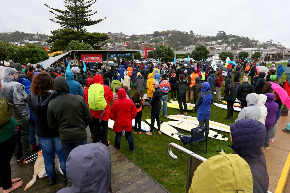 Protest: Some of the estimated 300 people who attended the rally in Burnie organised by NWTAS for Clean oceans and the Bob Brown Foundation against proposed salmon feedlot trials. Picture: Rodney Braithwaite.
