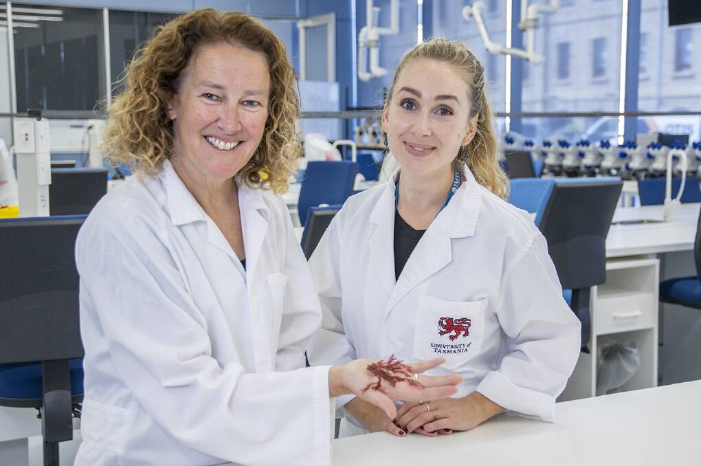 MAKING WAVES: Associate Professor Catriona Hurd, and PhD candidate, Ellie Paine, building on a legacy of female scientists. Picture: Supplied