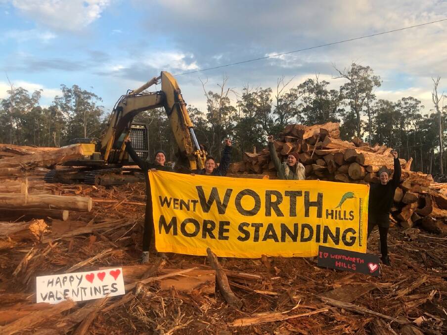PASSIONATE PROTESTS: Bob Brown Foundation protesters are pushing against old growth logging. Picture: Supplied