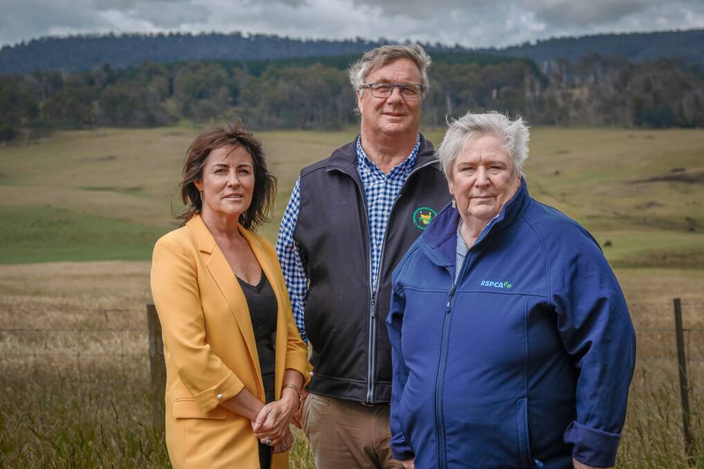 Primary Industries and Water Minister Jo Palmer, TasFarmers president Ian Sauer and RSPCA Tasmania chief executive officer Jan Davis launched a new taskforce to tackle animal cruelty at abattoirs. Picture by Craig George