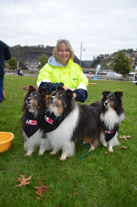 RSPCA communications manager Kerri Walsh with Timothy, Thomas and Scotty. 