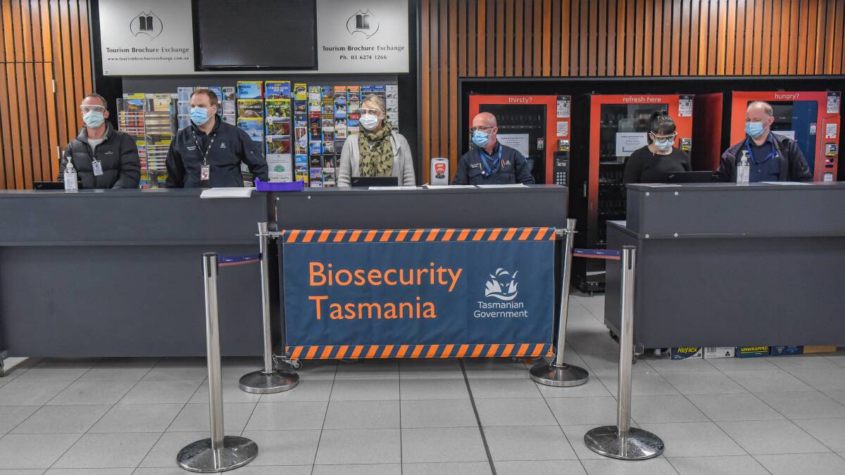 Biosecurity Tas reviews protocol as 'blueberry rust' travels