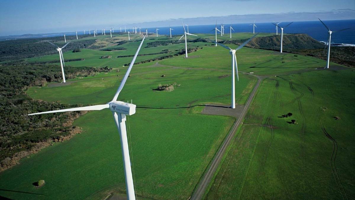 A wind farm. FILE PICTURE