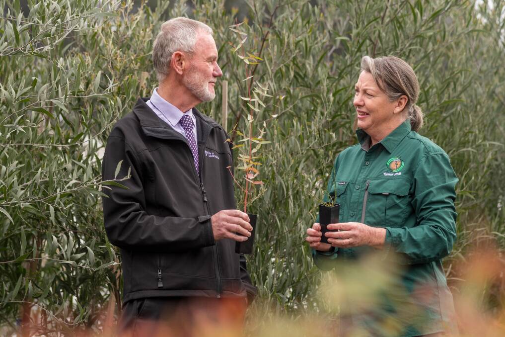 GREEN THUMBS: Launceston mayor Albert van Zetten and Tamar NRM Big Plant co-ordinator Trish Trish Haeusler. Picture: Phillip Biggs