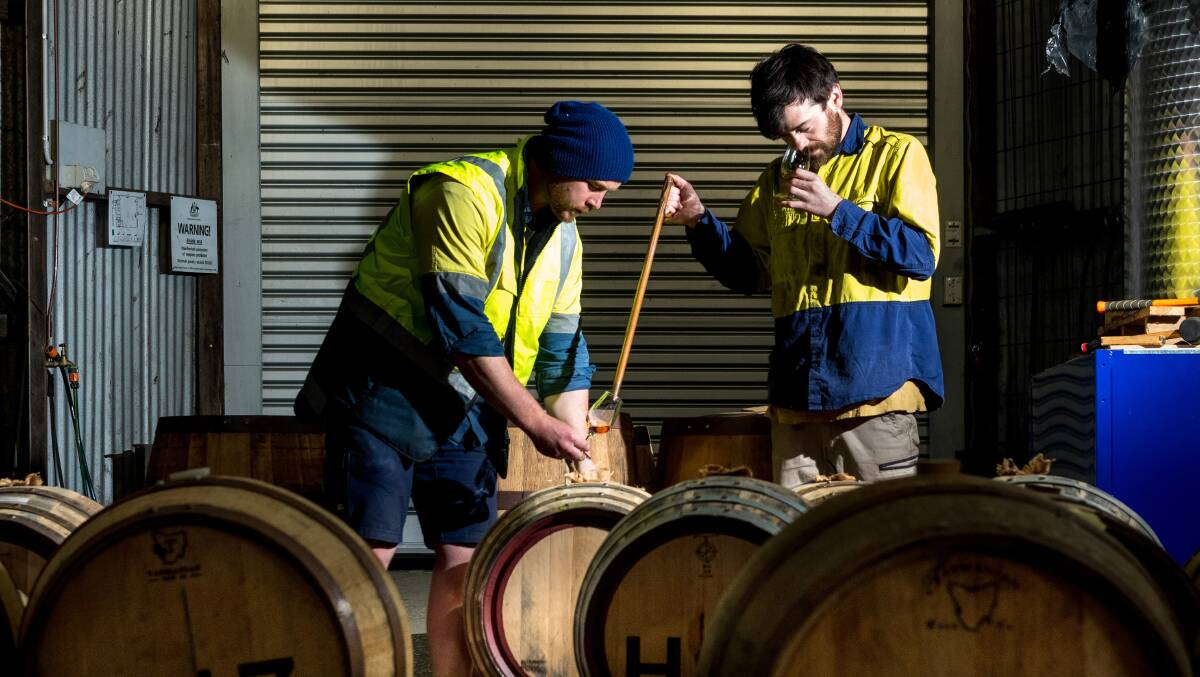 WHISKY: Launceston Distillery assistant distillers Kane Barker and Andrew Barclay take a cask sample. Picture: Phillip Biggs