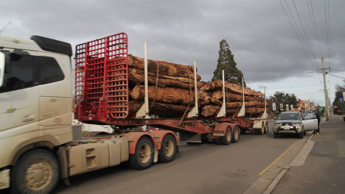 A truck going past Wellington street in Longford with logs. Picture: Satria Dyer-Darmawan