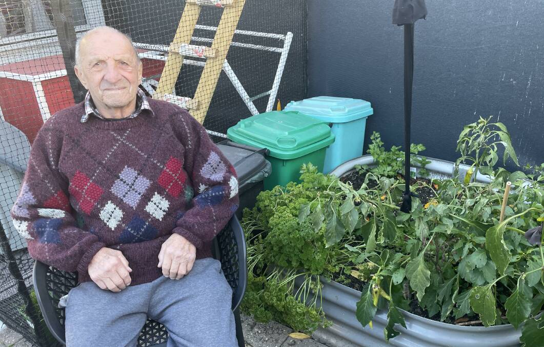 Kings Meadows retiree Ron Corino says his small backyard vegetable garden has saved him money during the cost of living crisis. Photo: Ben Seeder 