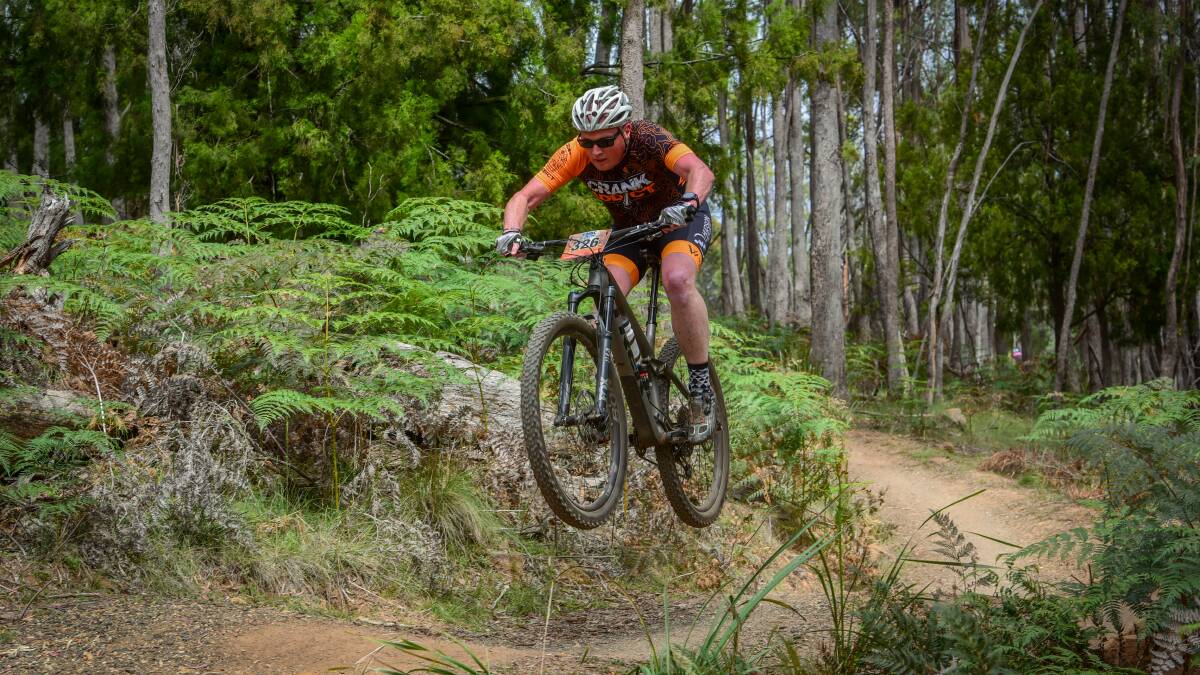 A court decision will allow Sustainable Timber Tasmania to resume logging near the Derby mountain biking trails. File Photo 