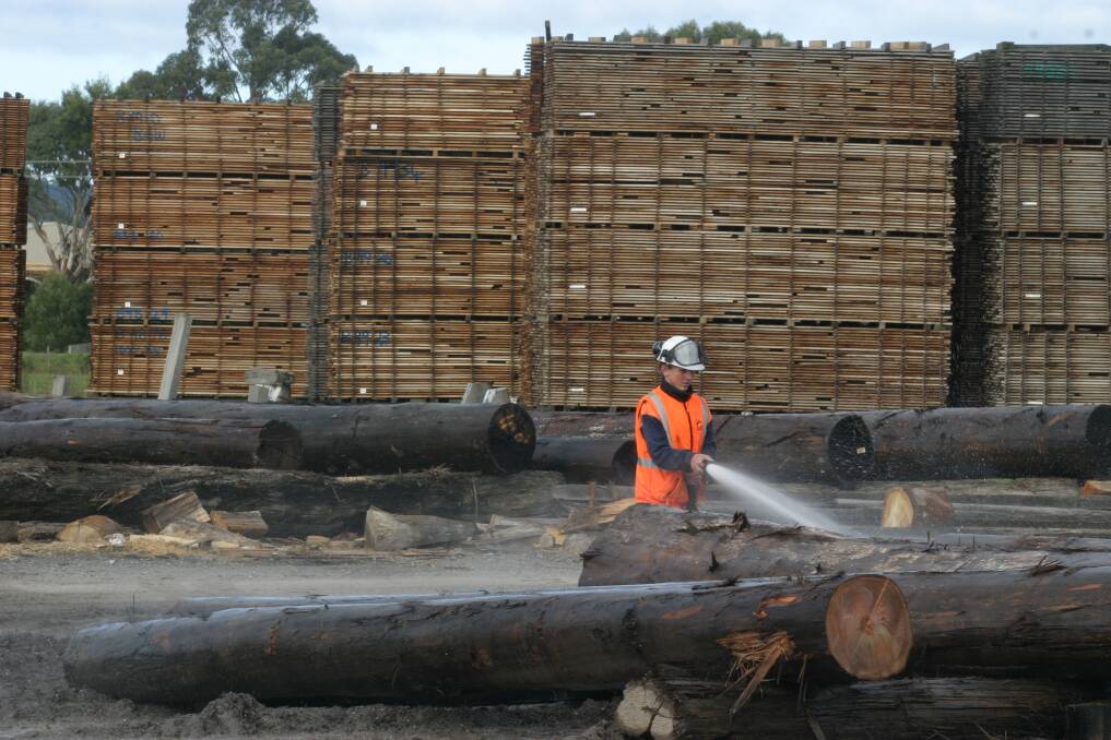Tasmanian sawmillers are brawling over an expected cut in supplies of native forest logs and increased competition for plantation timbers. File photo 
