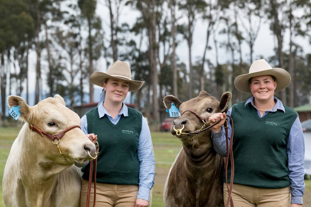 Sophie and Nikayla Smith of Three Shades Murray Greys, Springfield with their champion junior murray grey pairs. Picture by Phillip Biggs