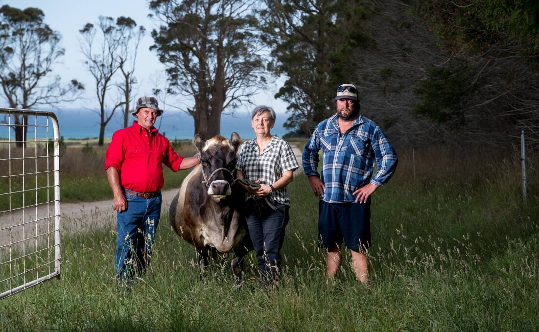 Geoffrey and Donna Loane pictured with their son Tim and the one remaining cow left on the property, named Gidget. Picture by Phillip Biggs