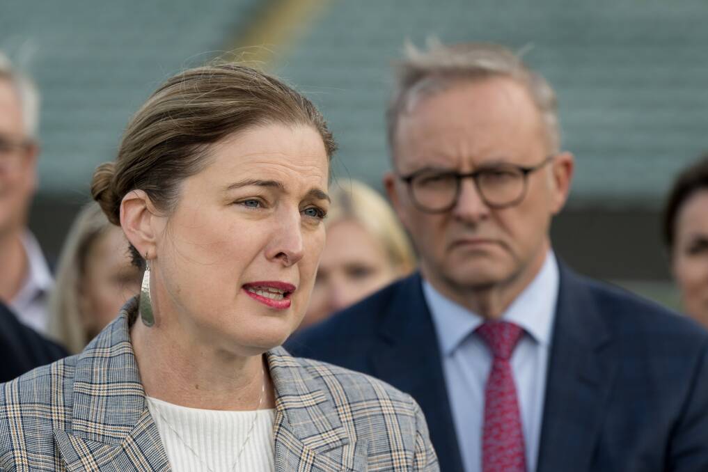 Federal Housing Minister Julie Collins welcomed the National Cabinet announcement. Picture by Phillip Biggs 