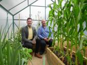Launceston Mayor Mathew Garwood and Self Help Workplace chairman Nathan Calman inside the new greenhouse. Picture by Rod Thompson 