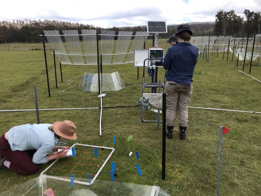 Researchers used small open top chambers to simulate the effect of a warming climate in Tasmania's central highlands. Picture supplied 
