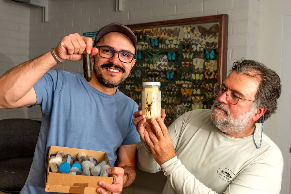 Dr Pedro Castanheira and Dr Renner Baptista with their spider specimen at QVMAG, Royal Park. Picture by Phillip Biggs