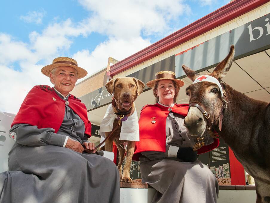 Terese Binns, Coco the medical messenger dog, Sherry Rees and Lance Corporal Jacob the Donkey. Picture Rod Thompson