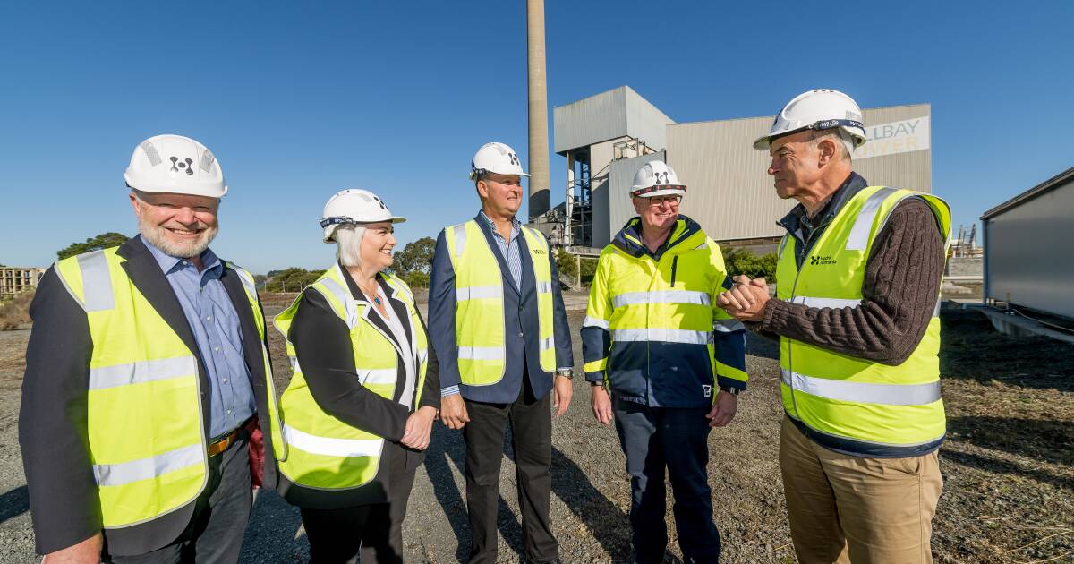 Government welcomes $1.2 billion green methanol and hydrogen proposal for Bell Bay