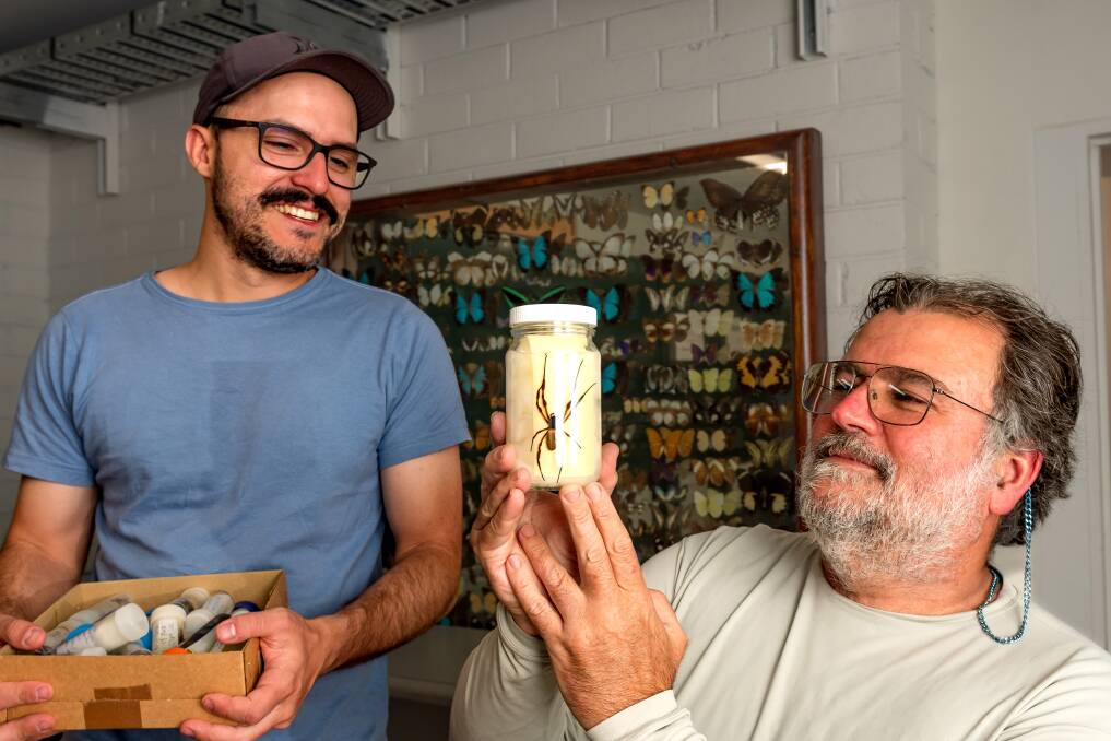 Dr Pedro Castanheira and Dr Renner Baptista observing the preserved Orb-weaver. Picture by Phillip Biggs