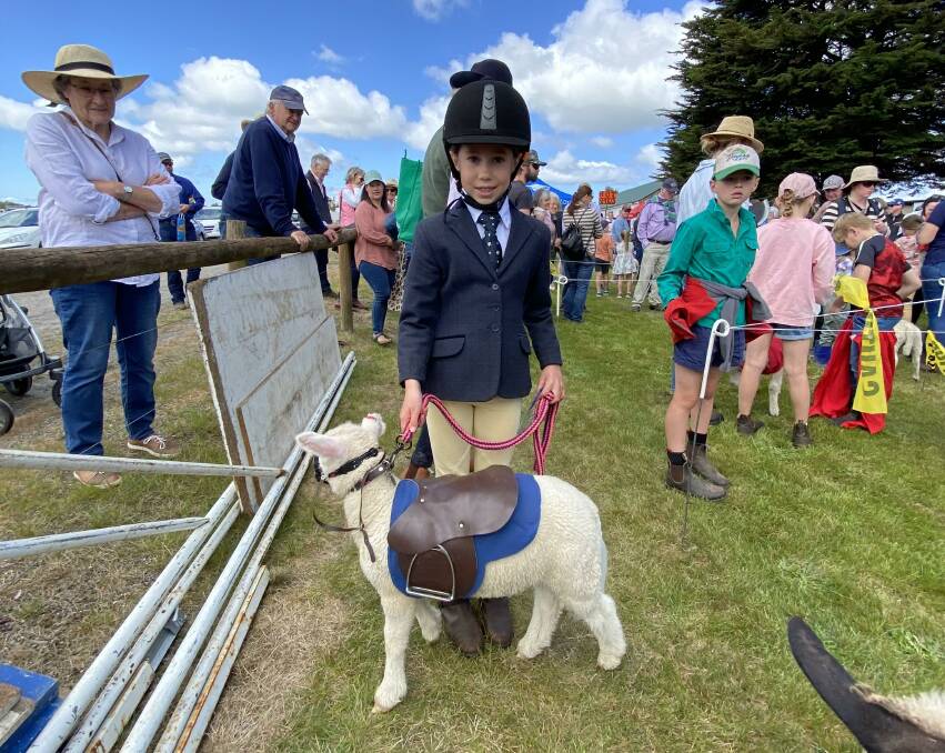 2022's record-breaking pet lamb competition. Picture supplied. 