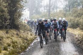 Action from the 2023 Devil's Cardigan gravel riding national championships in North-East Tasmania. Picture by Beardy McBeard