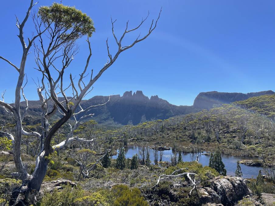 Pining for some Tasmanian company to share our magnificent wilderness