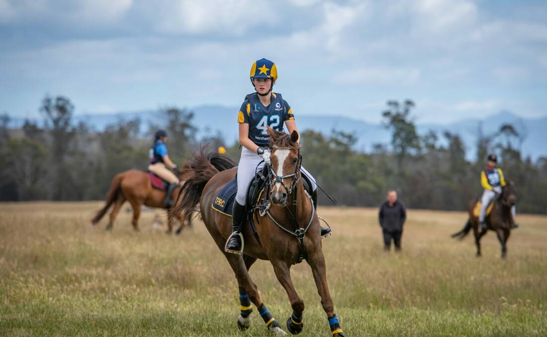 Sophie Ranson on Summerwood Park Red Rover at the Tasmanian Pony and Riding Club event at Powranna in 2021. Picture by Paul Scambler