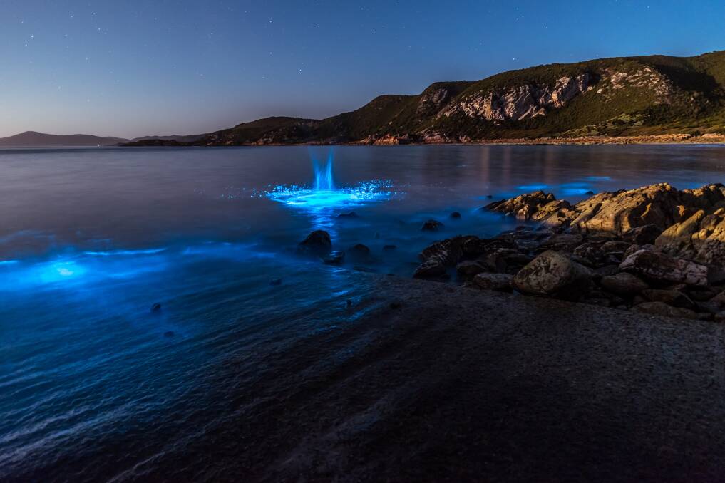Algal bioluminescence captured on film in Tasmania. Photo Leanne Marshall.