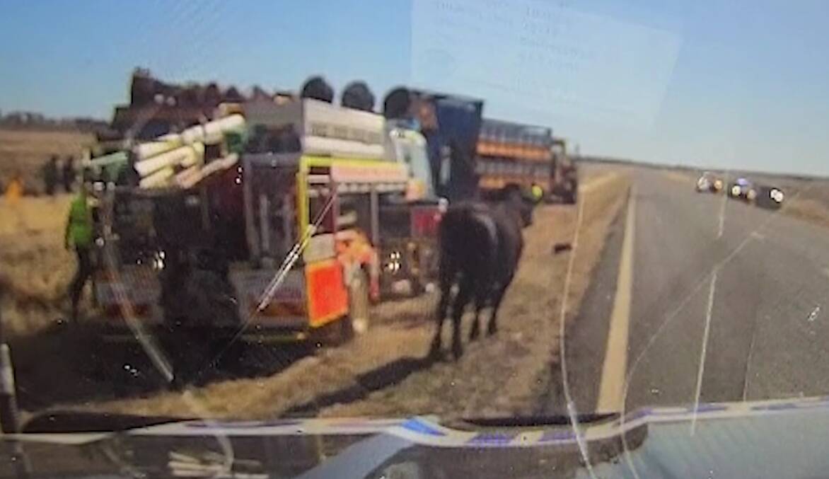 A still from the video released by Queensland Police. Video supplied. 