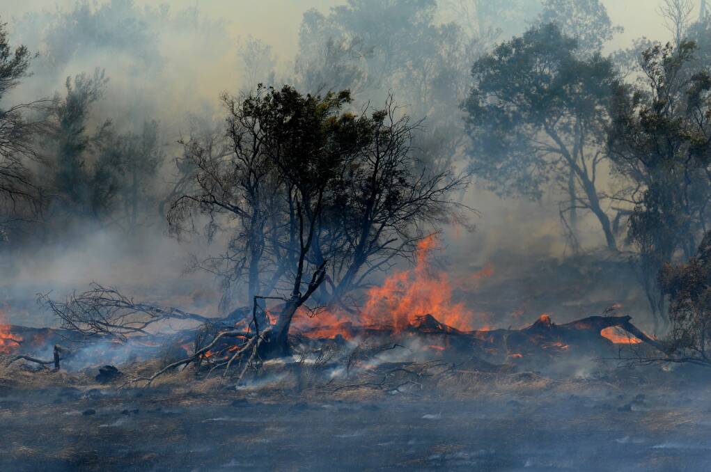Eligible landowners can acquire permits for free through the Tasmania Fire Service. Picture by Paul Scambler